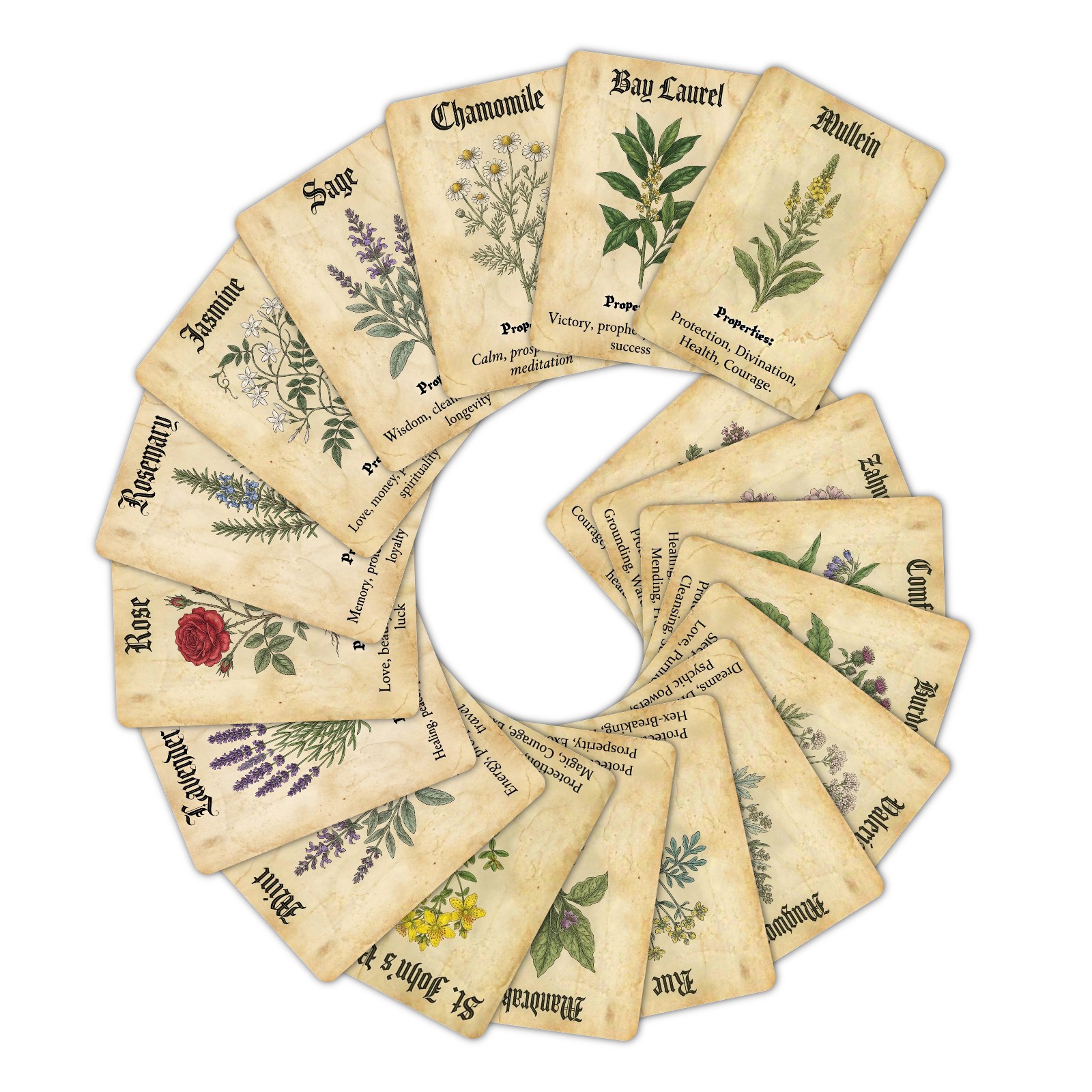 Vintage Magic Plant Theme Know - đánh giá và giá Vintage Collectible Cards